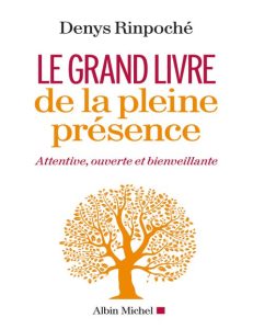 ``Rich Results on Google's SERP when searching for ''Le grand livre de la pleine présence''